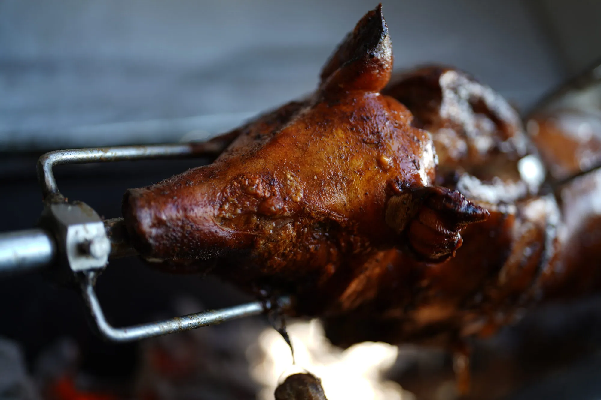 Whole pig on the charcoal BBQ spit roast at an Adelaide event