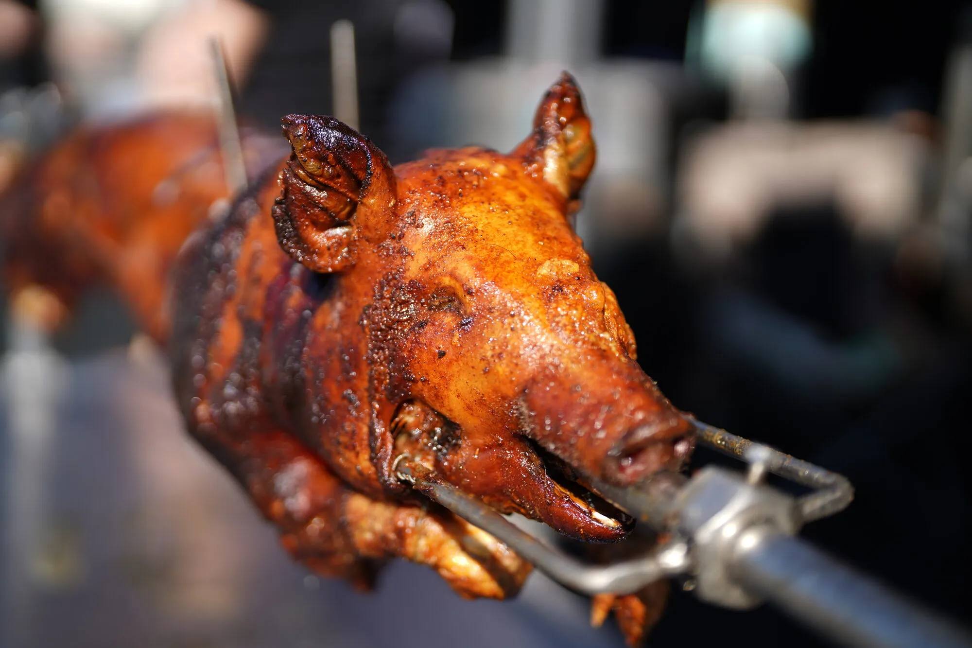 Golden roasted whole pig on the spit, beautifully cooked over charcoal